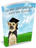 90 Dog Training tips