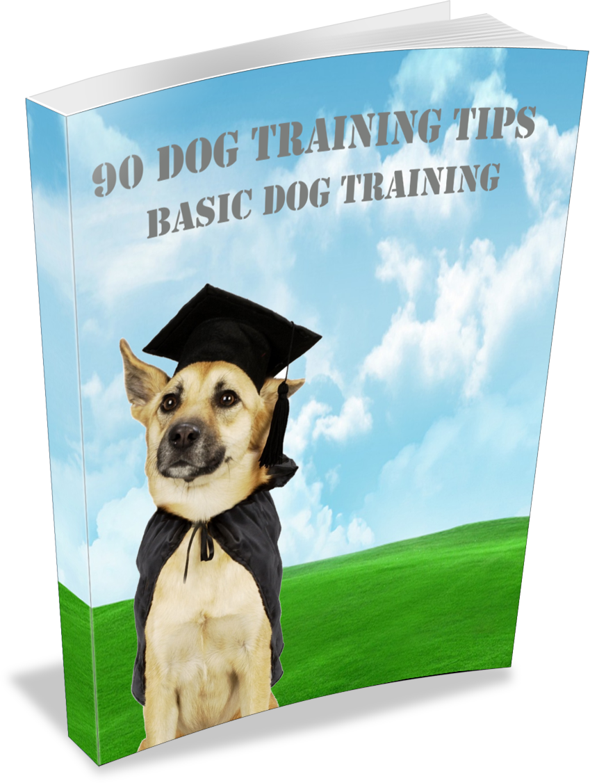 90 Dog Training tips